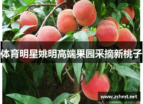 体育明星姚明高端果园采摘新桃子